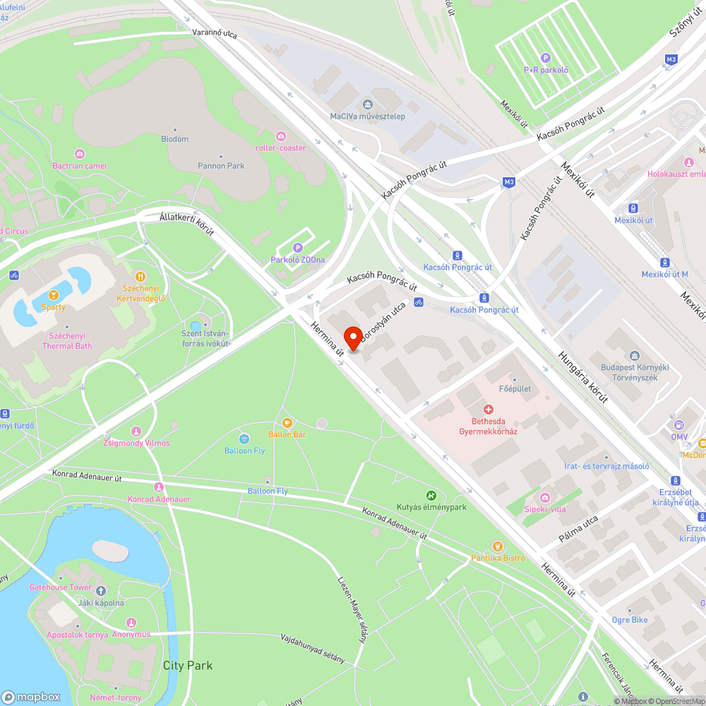 Eldugult víznyelő bejelentés helye