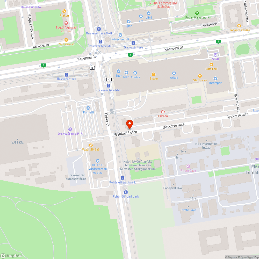 Szemetes a kerékpárút közepén bejelentés helye