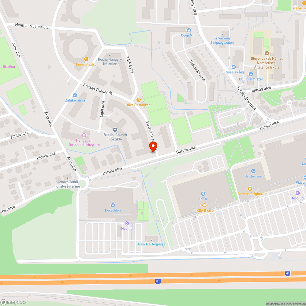 Veszélyes zebra bejelentés helye