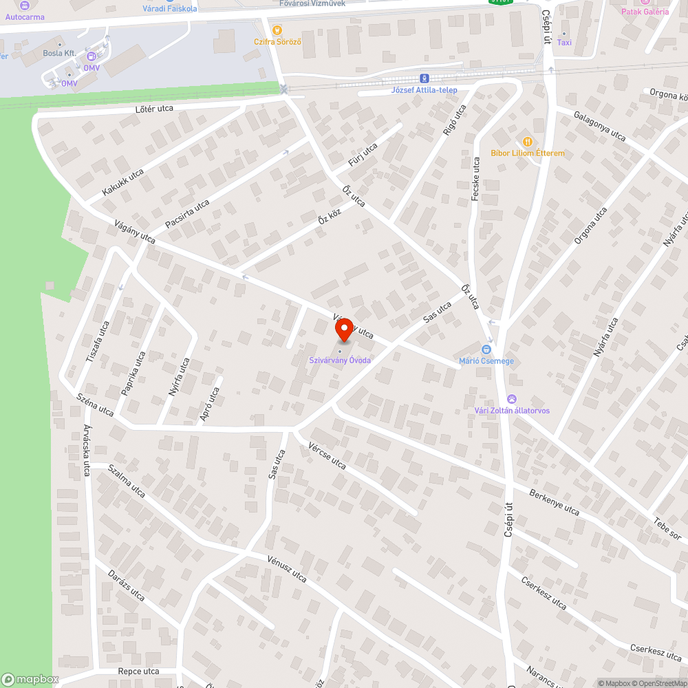 Felhordott kavics miatt járhatatlan járda bejelentés helye