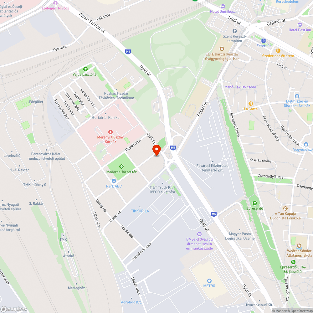 Leszakadt ág a járdán, Osztag utca bejelentés helye