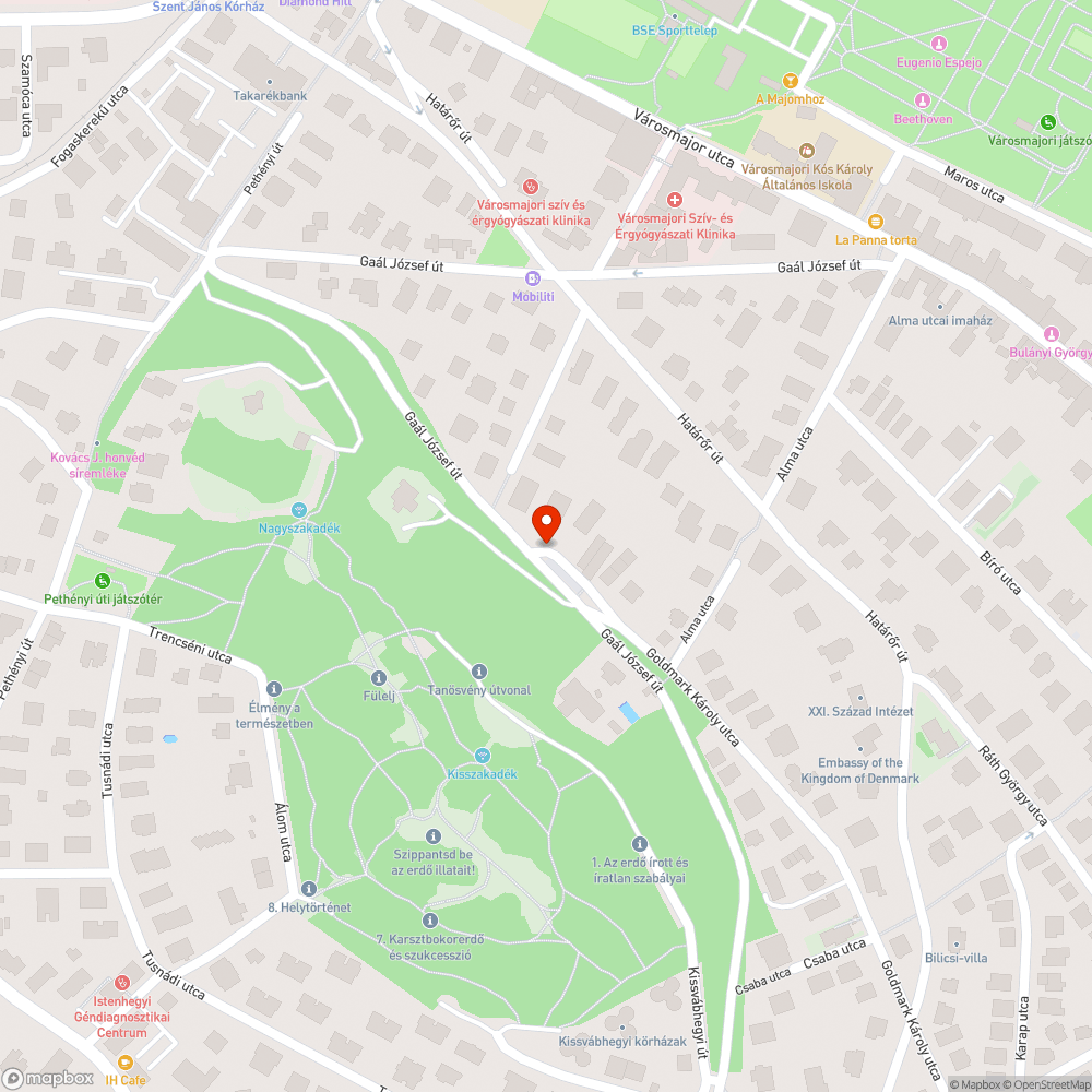 Goldmark Károly kátyúja bejelentés helye