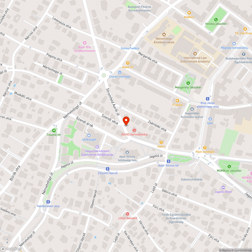 Bokrok visszanyesése a Stromfeld Aurél úton bejelentés helye