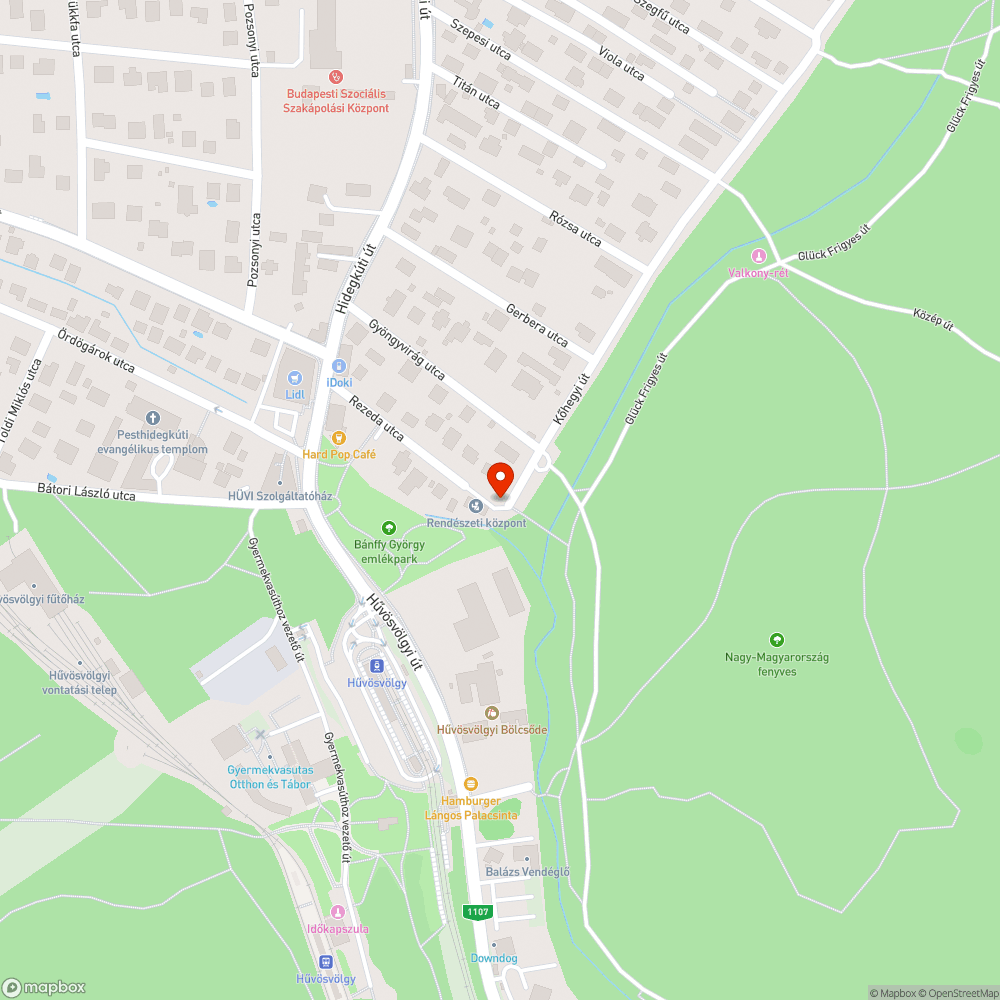 Hordalék és gaz a kerékpárúton bejelentés helye