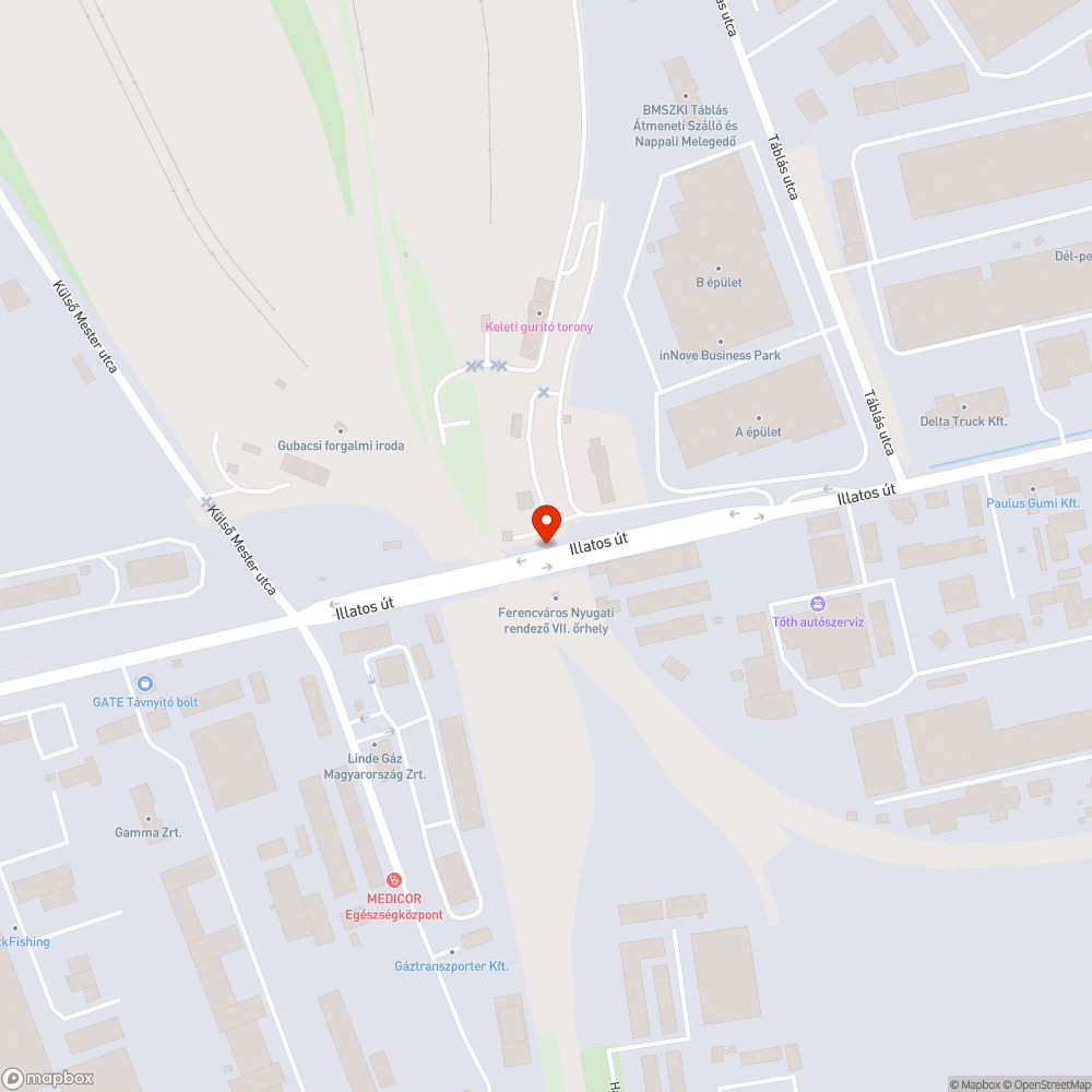 A járdát kezdi elnyelni a növényzet. bejelentés helye