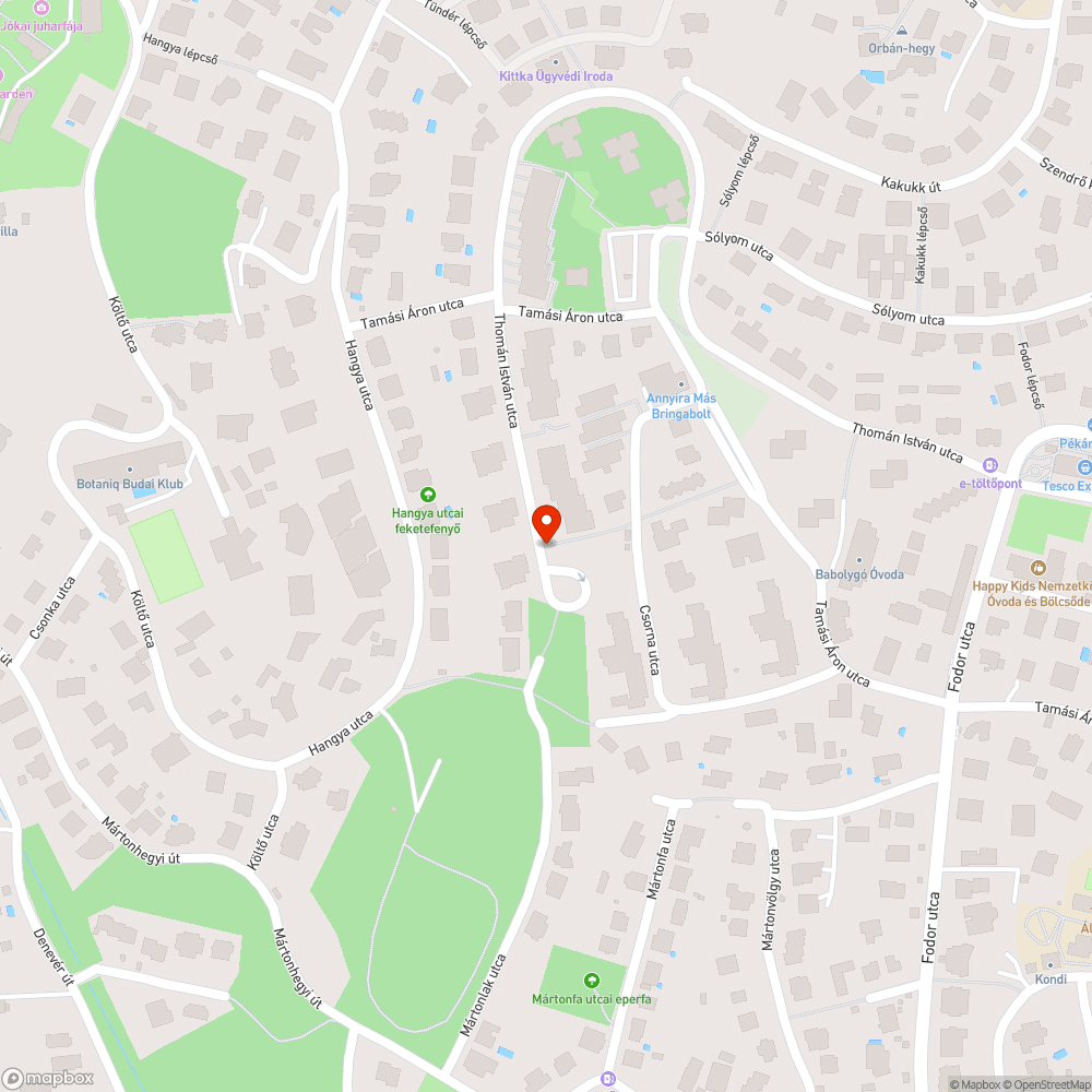 Száraz levelek az útpadkánál bejelentés helye