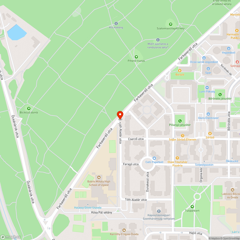 Szétrohadt a kutyakakis szemetes fedele pt7 bejelentés helye