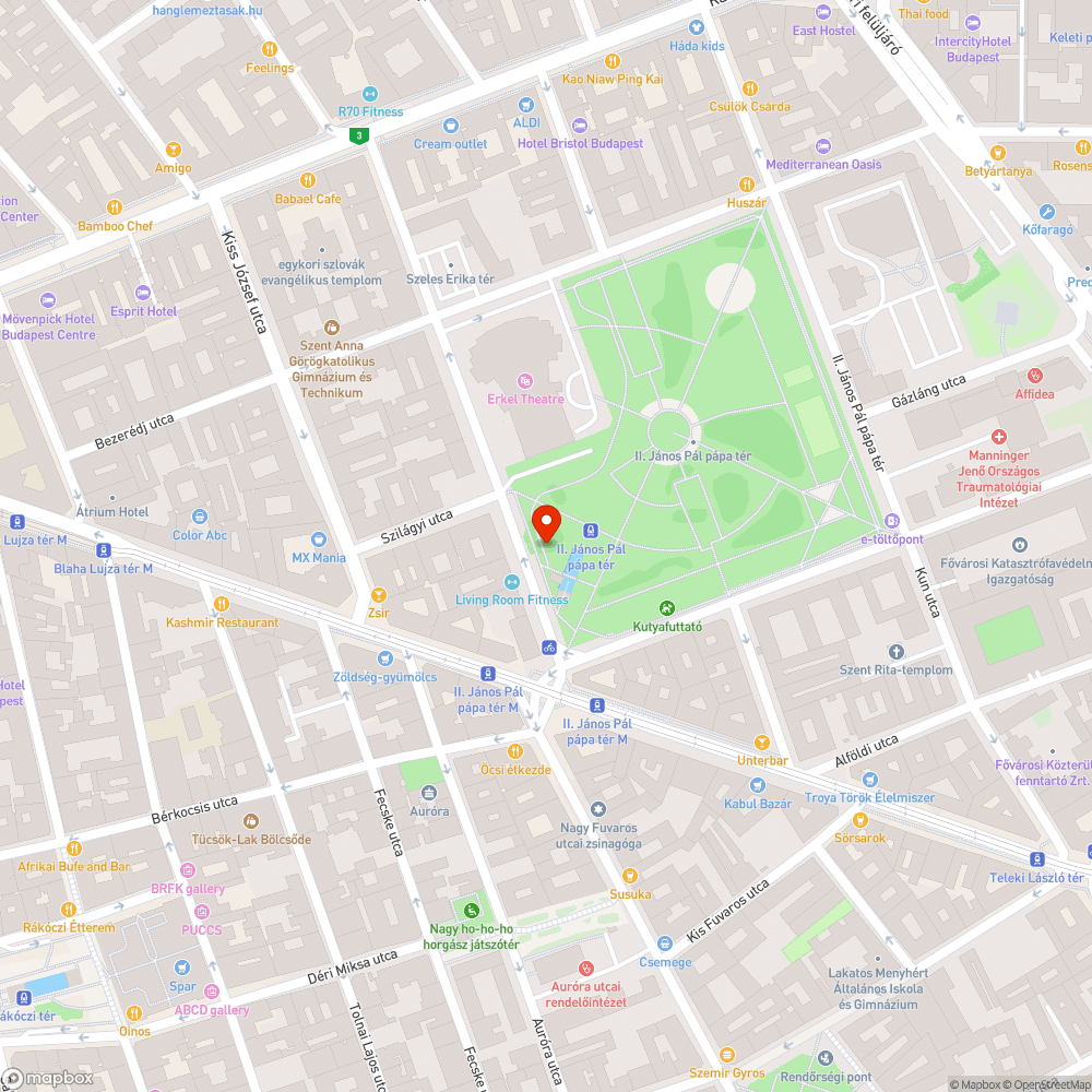 II. Janos Pal papa teri szemet problema bejelentés helye