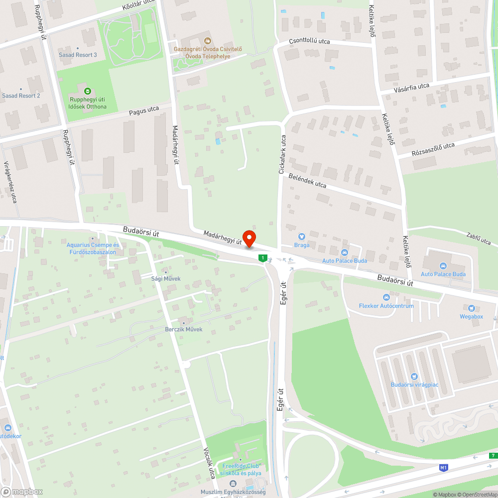 Kerékpárútra nőtt tüskés növényzet bejelentés helye