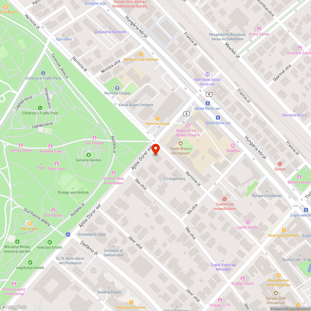 Fa termése a járdán, balesetveszély bejelentés helye