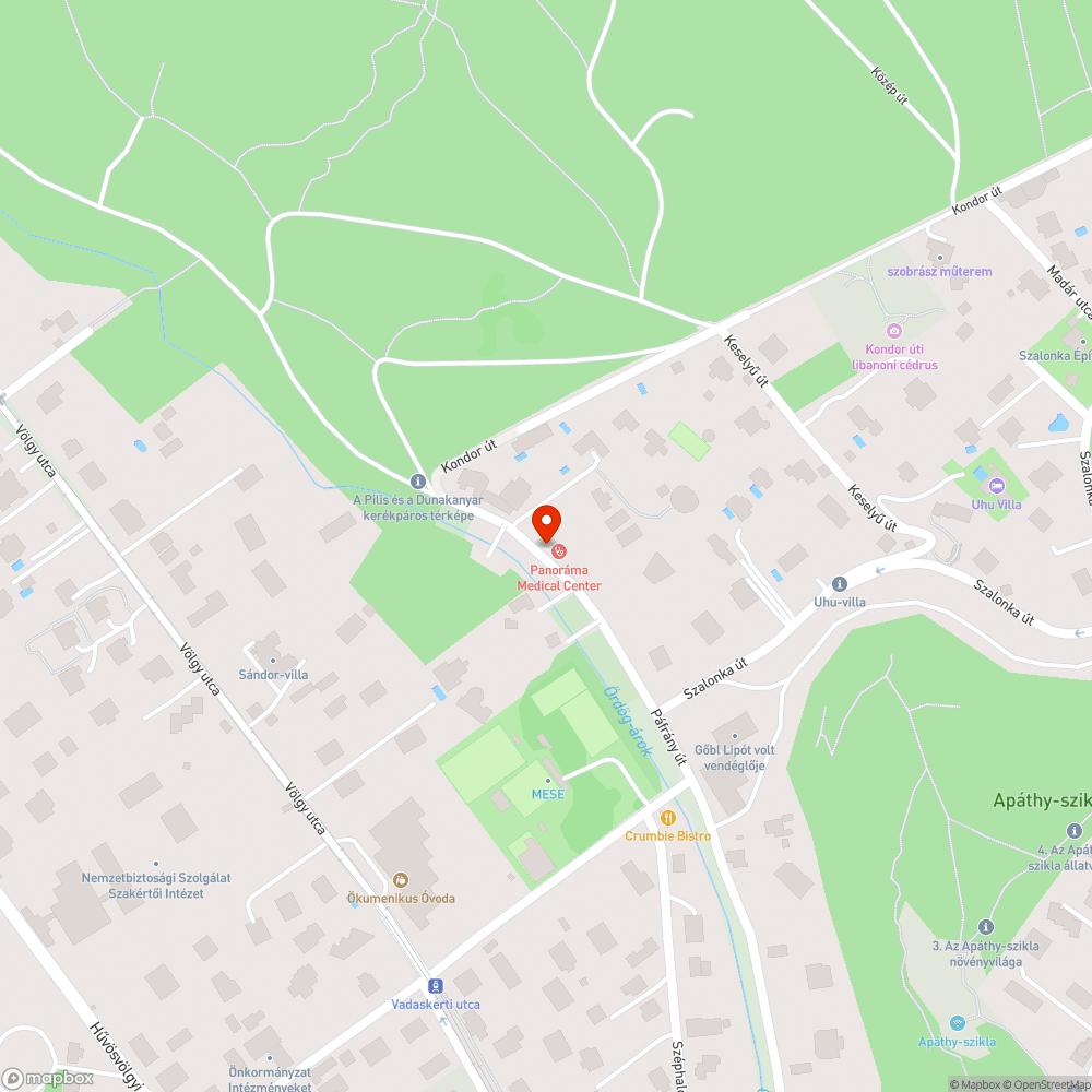 Embernagyságú gaz bejelentés helye