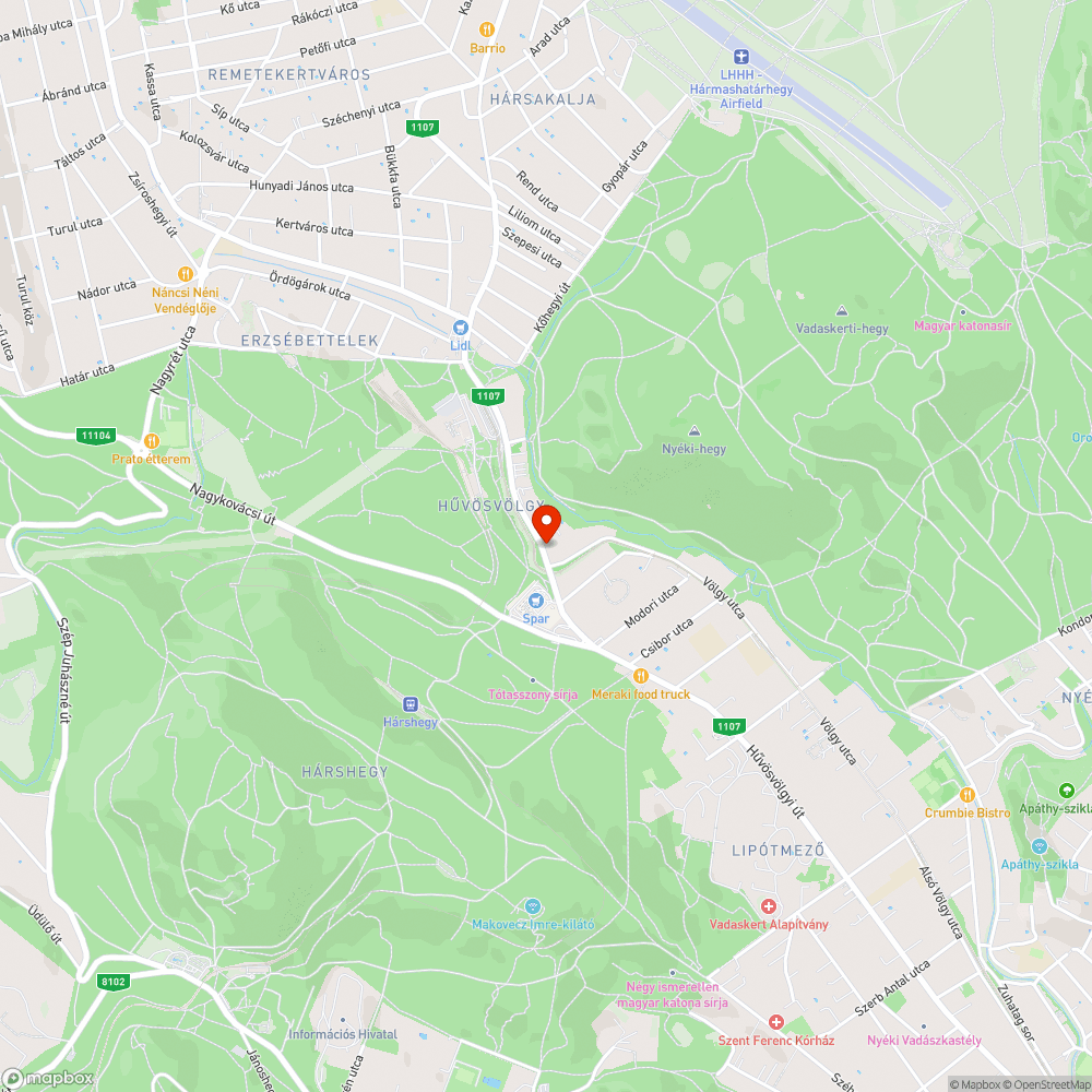 Kivágott fa törmeléke torlaszolja el a járdát bejelentés helye