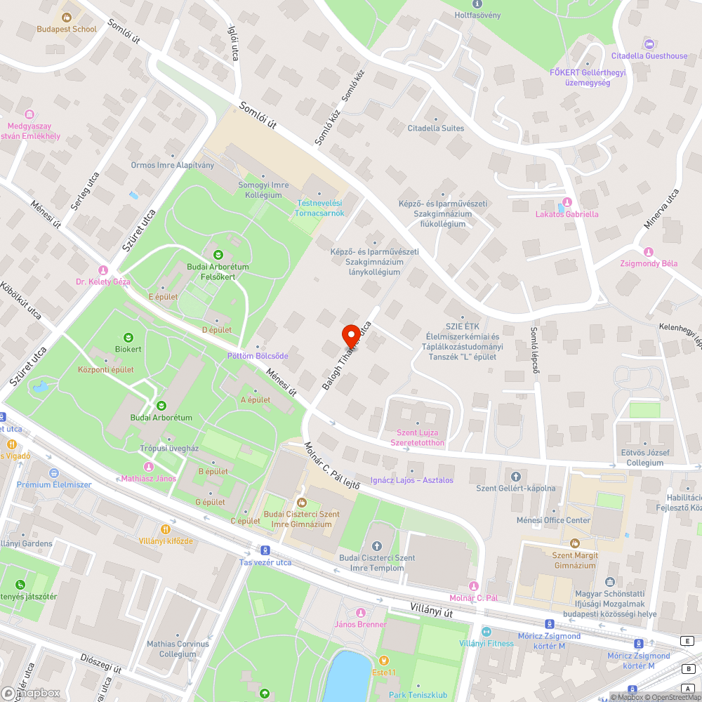 Felszólított Transporter bejelentés helye