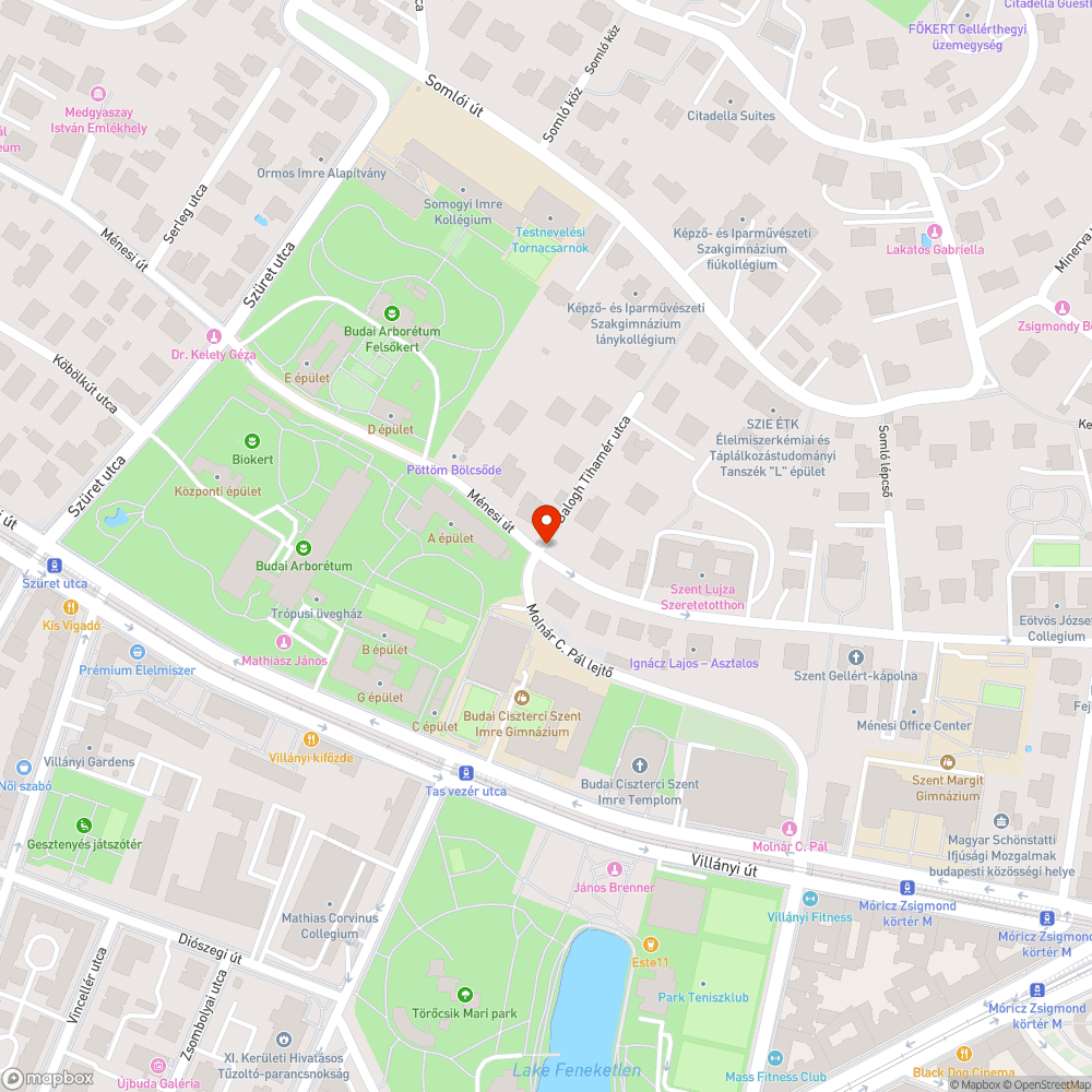 Abandoned car tires bejelentés helye