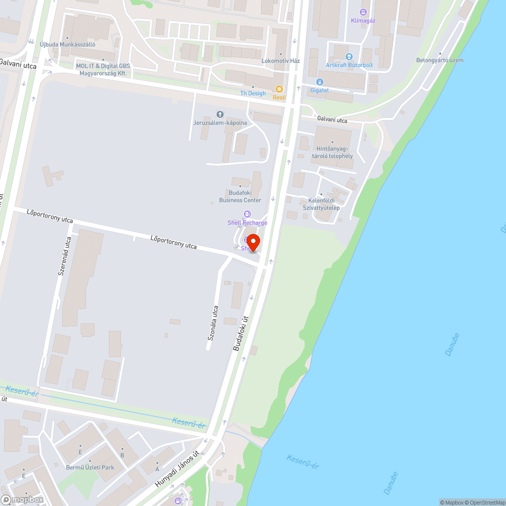 Járdára lógó növényzet a Budafoki úton bejelentés helye