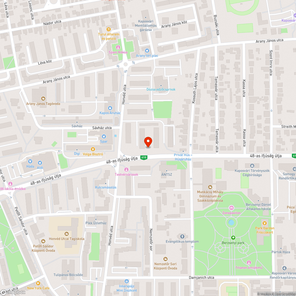 Kiszáradt nyírfa az ÁNTSZ nevű buszmegállónál bejelentés helye