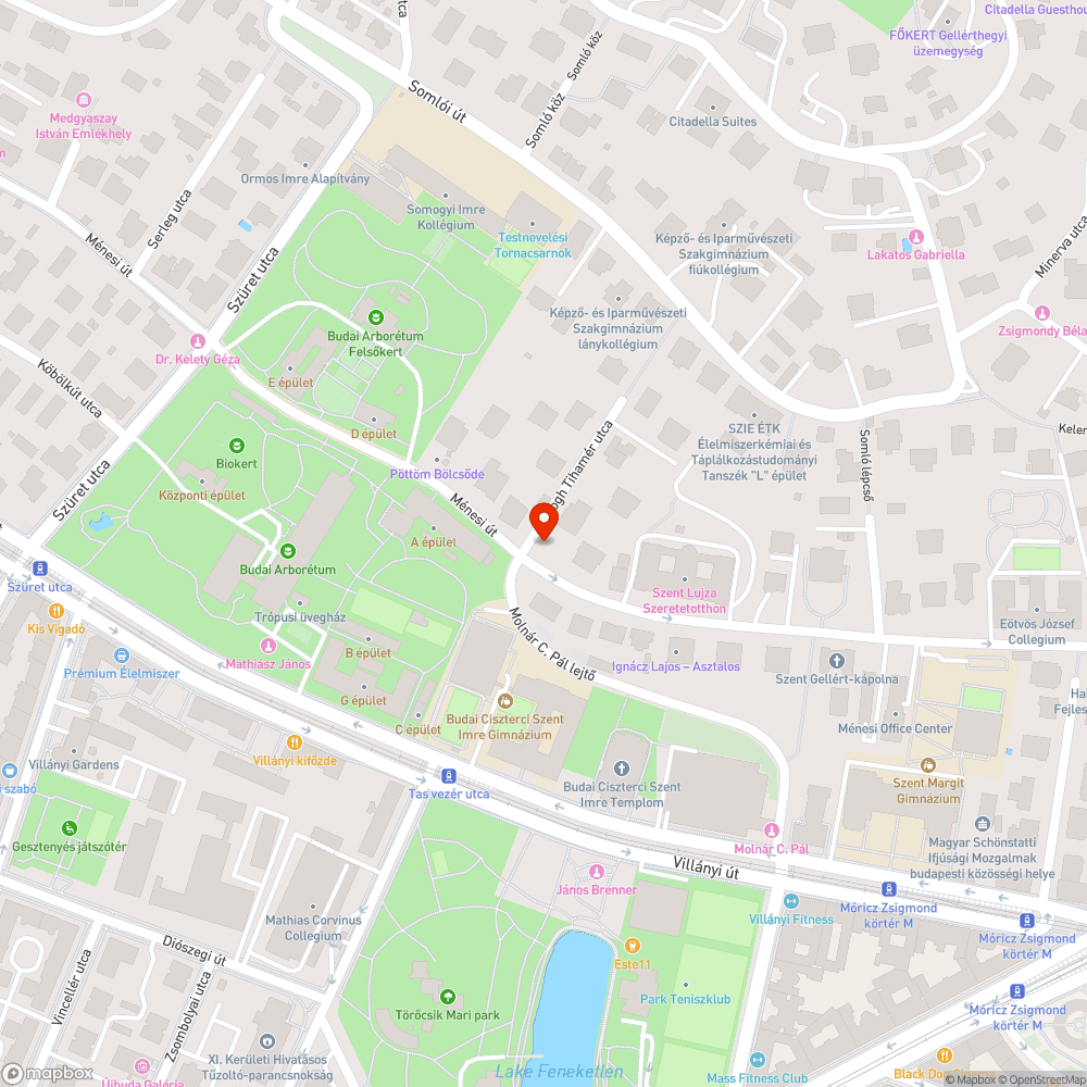 Tönkretett szegélykövek a Ménesi úton bejelentés helye