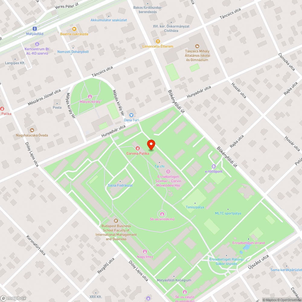 Eldugult víznyelő bejelentés helye