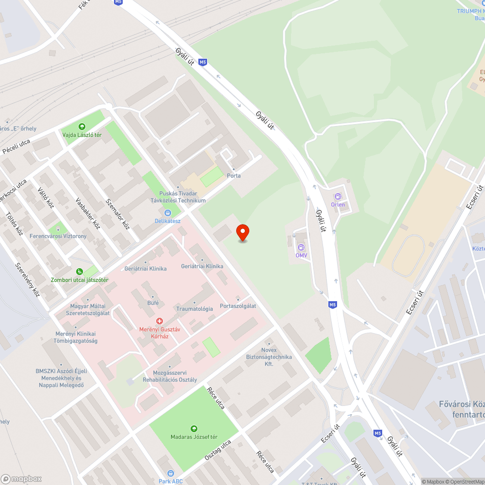 Burjánzó növényzet a járdán, a Gyáli úton bejelentés helye