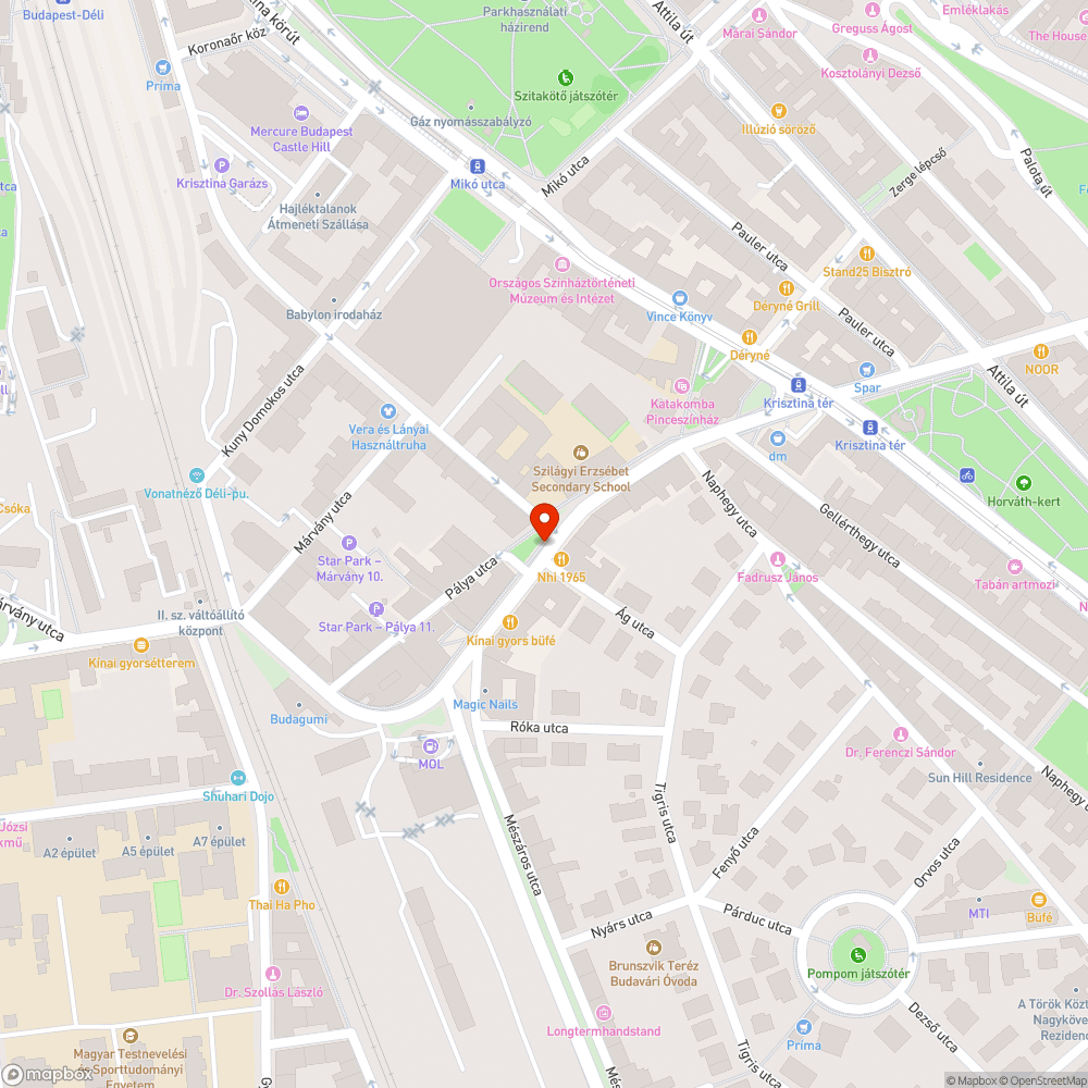 Eltömődött folyóka az Ág utcánál bejelentés helye