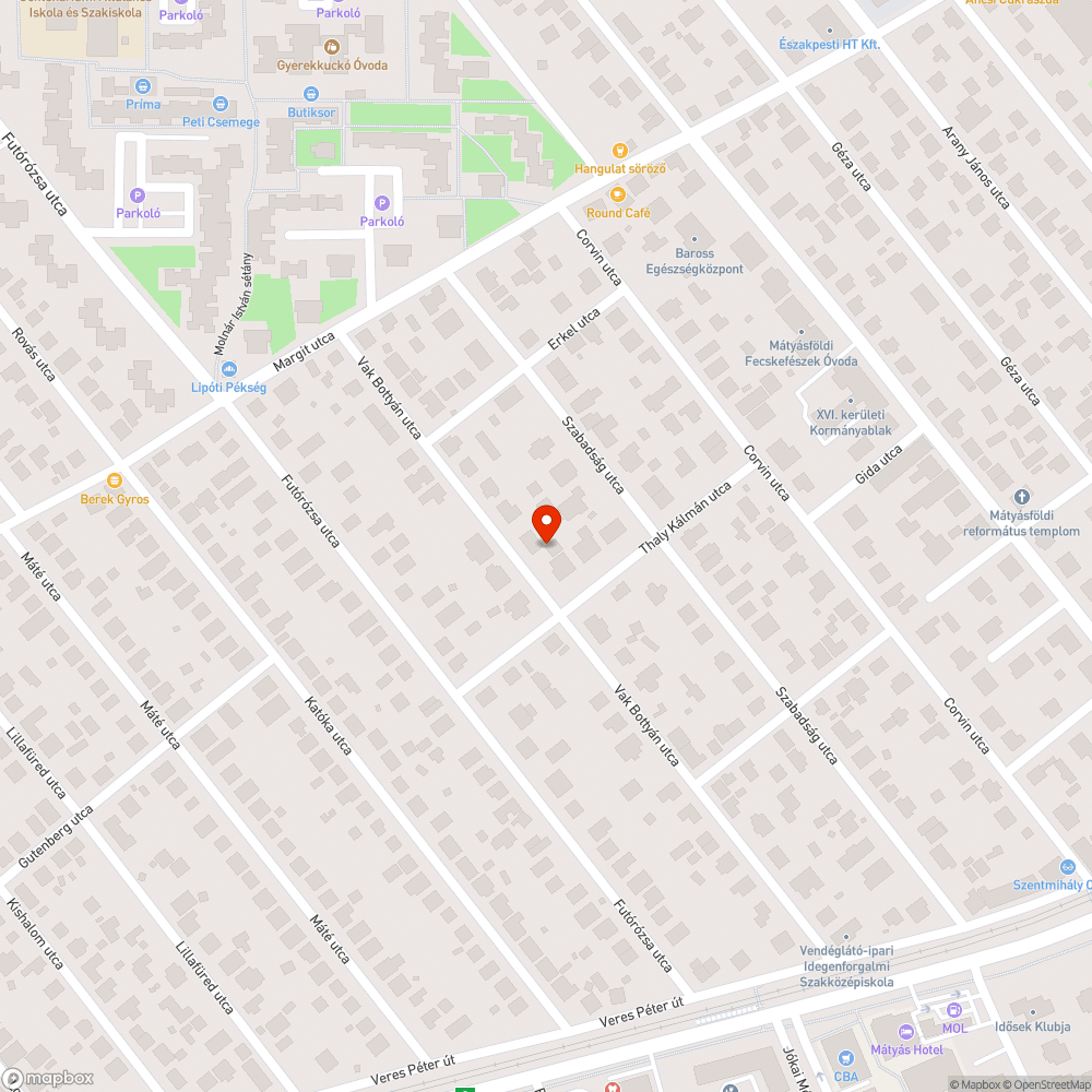 Rozsdás szekrény (Vak Bottyán u.) bejelentés helye