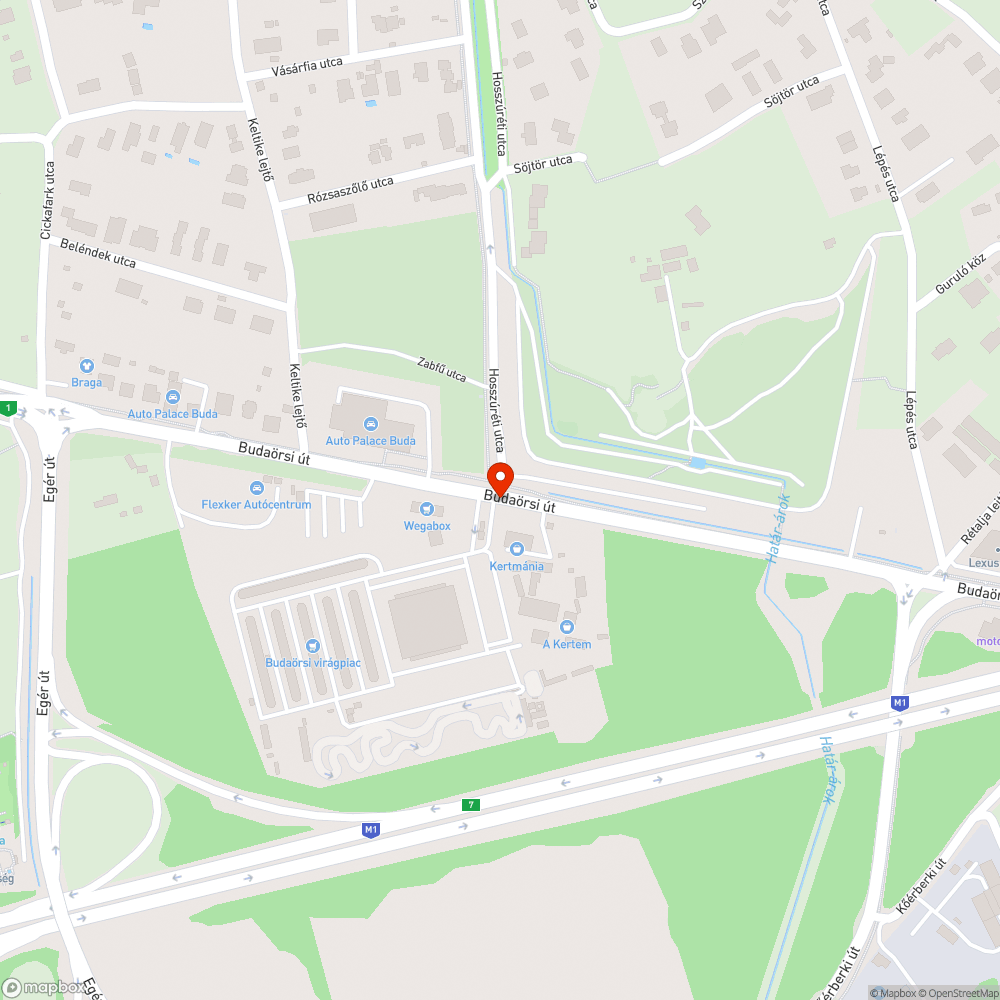 Lekopott zebra felfestés bejelentés helye