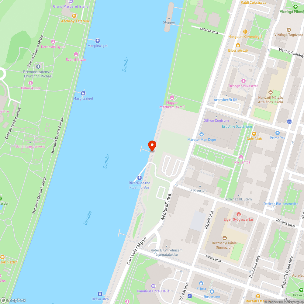 Elhullott állat (kutya?) a Duna-parton bejelentés helye