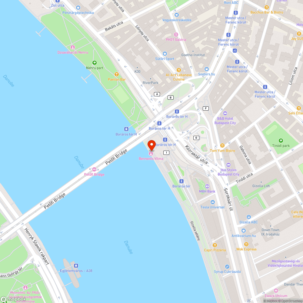 A Müpa és a Petőfi híd közti "zöldterület", járda és kerékpárút szemetes, a híd alatt főleg bejelentés helye