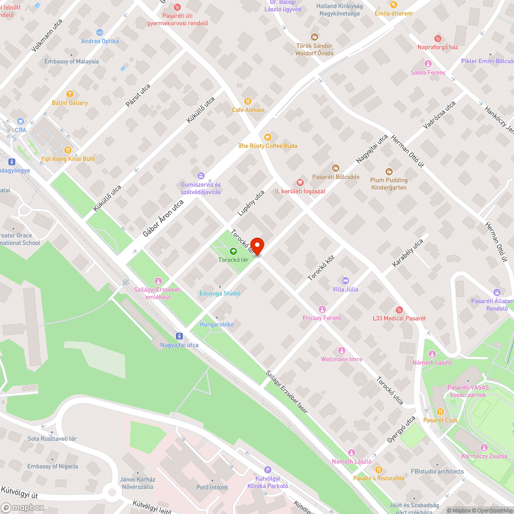 Eldugult víznyelő a Torockó téren bejelentés helye