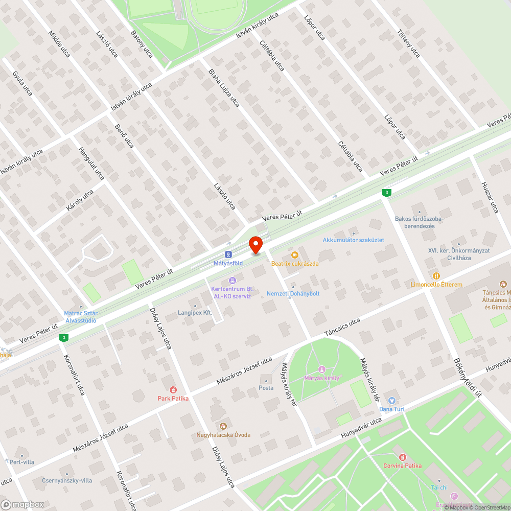 buszmegállóra, kerékpárútra, járdára, kerítésre és épületre veszélyes fa bejelentés helye