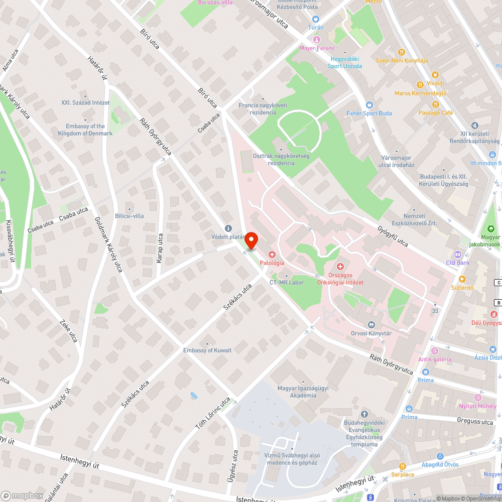 Széthullott szegély a Ráth György utcában bejelentés helye