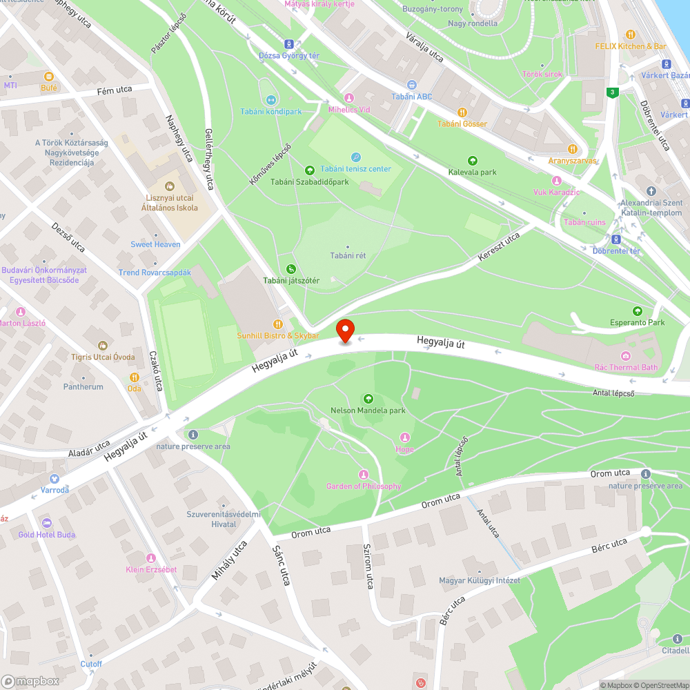 Hegyalja úton hiányzó buszsáv bejelentés helye