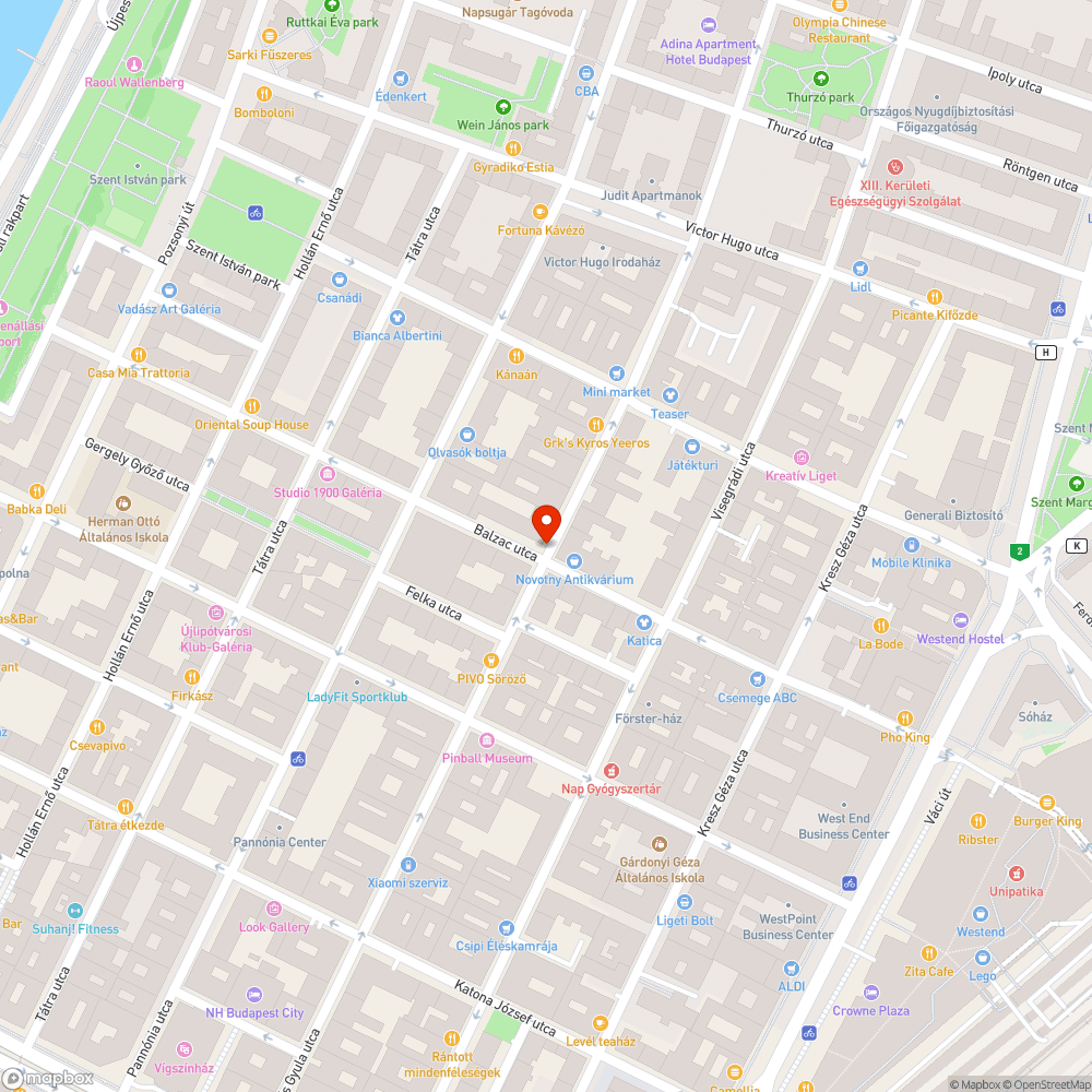 Vegyes szemét a Hegedűs Gyula utcában bejelentés helye