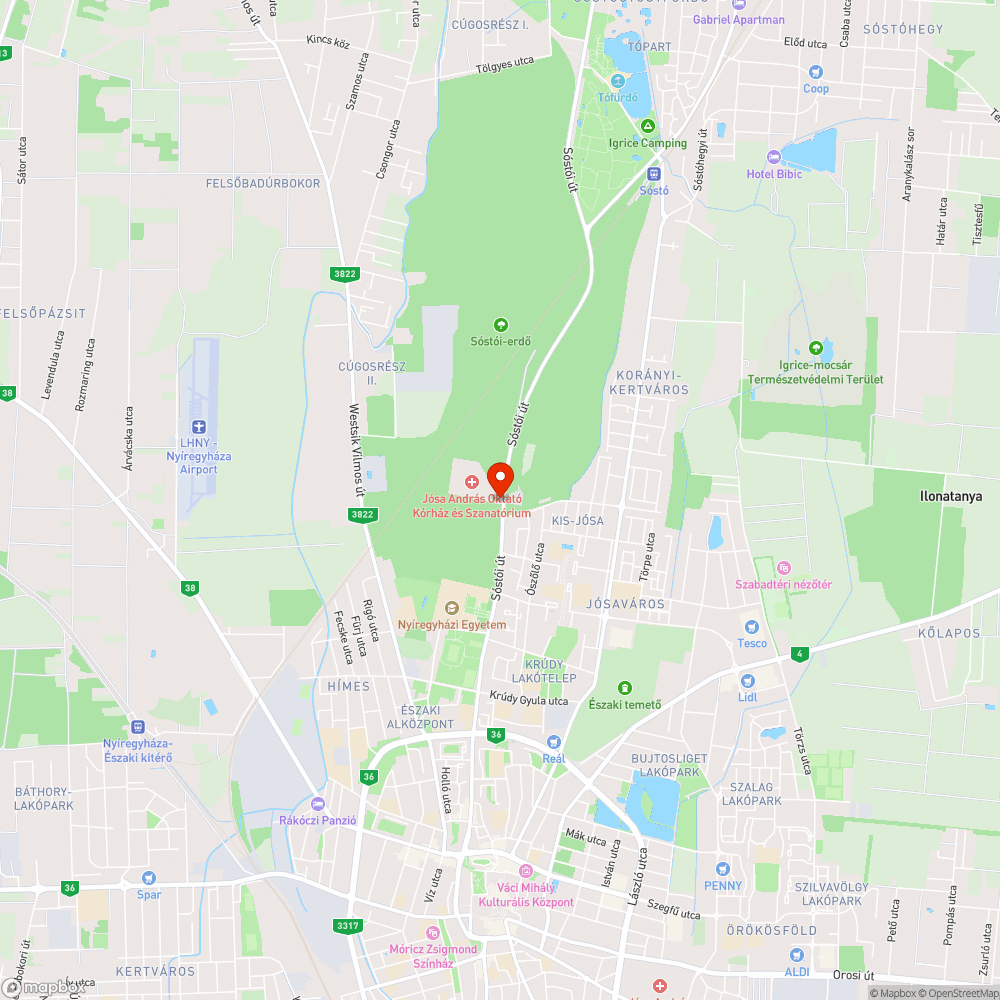 A  Nyíregyházi Sóstói úti kórházban NINCS járda a gyalogosoknak! bejelentés helye