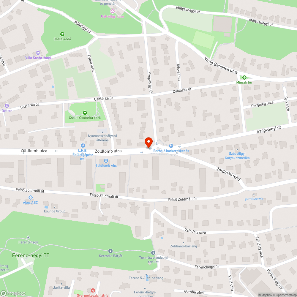 Veszélyes gyalogátkelőhely a csalit utcai buszmegálló után bejelentés helye