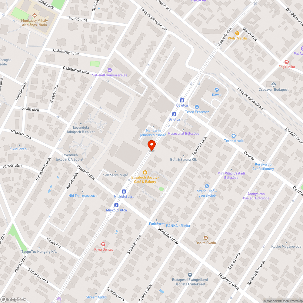 Üres telek elburjánzott gaza rálóg a járdára bejelentés helye