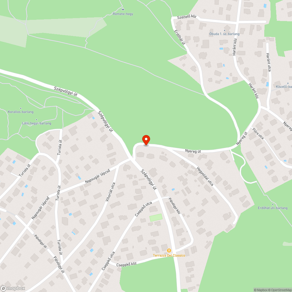 A helyzet tavaly óta változatlan .... - JAROKELO-BUDAPEST-00030330 bejelentés helye