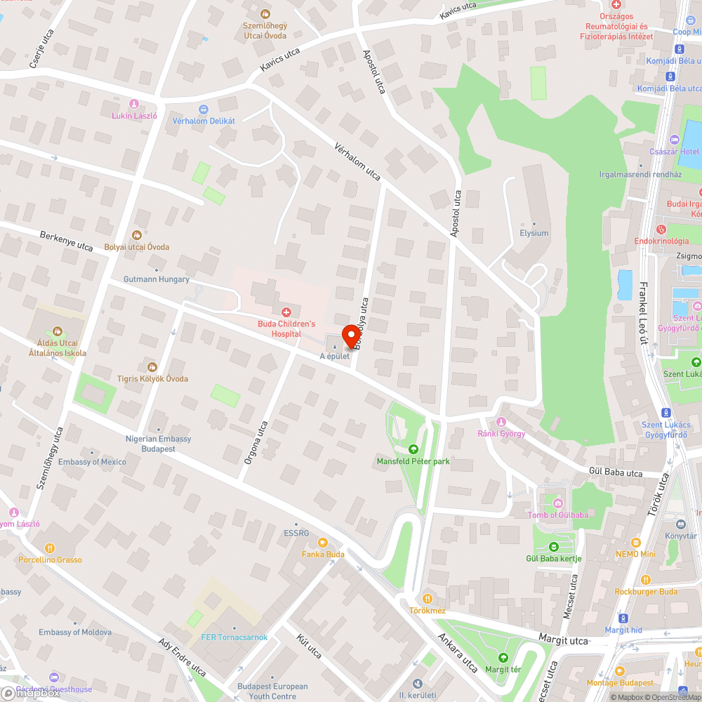 Vastagabb faág, zöldhulladék a Bólyai utca sarkán bejelentés helye