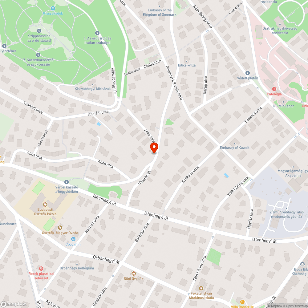 Szemétlerakat a Határőr út - Abos utca sarkán bejelentés helye