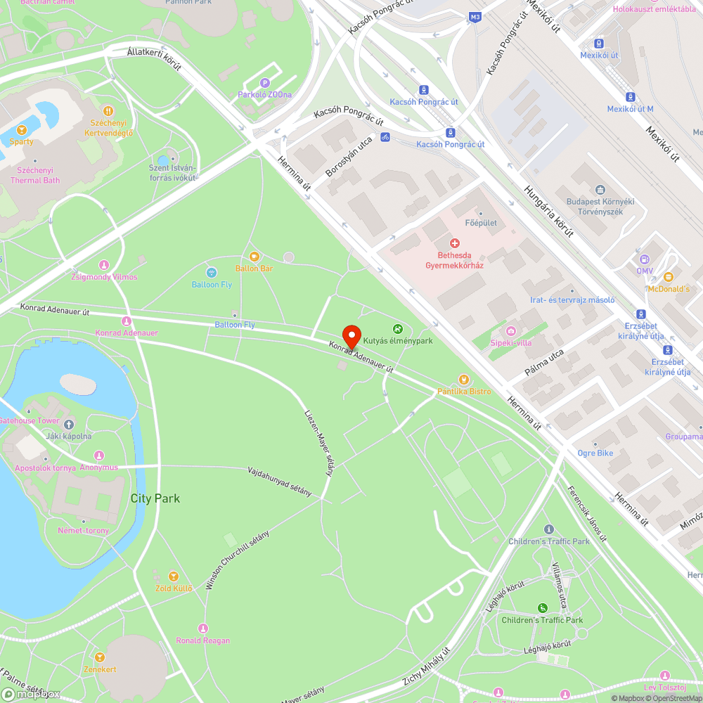 Elütött madár maradványa a Városligetben bejelentés helye