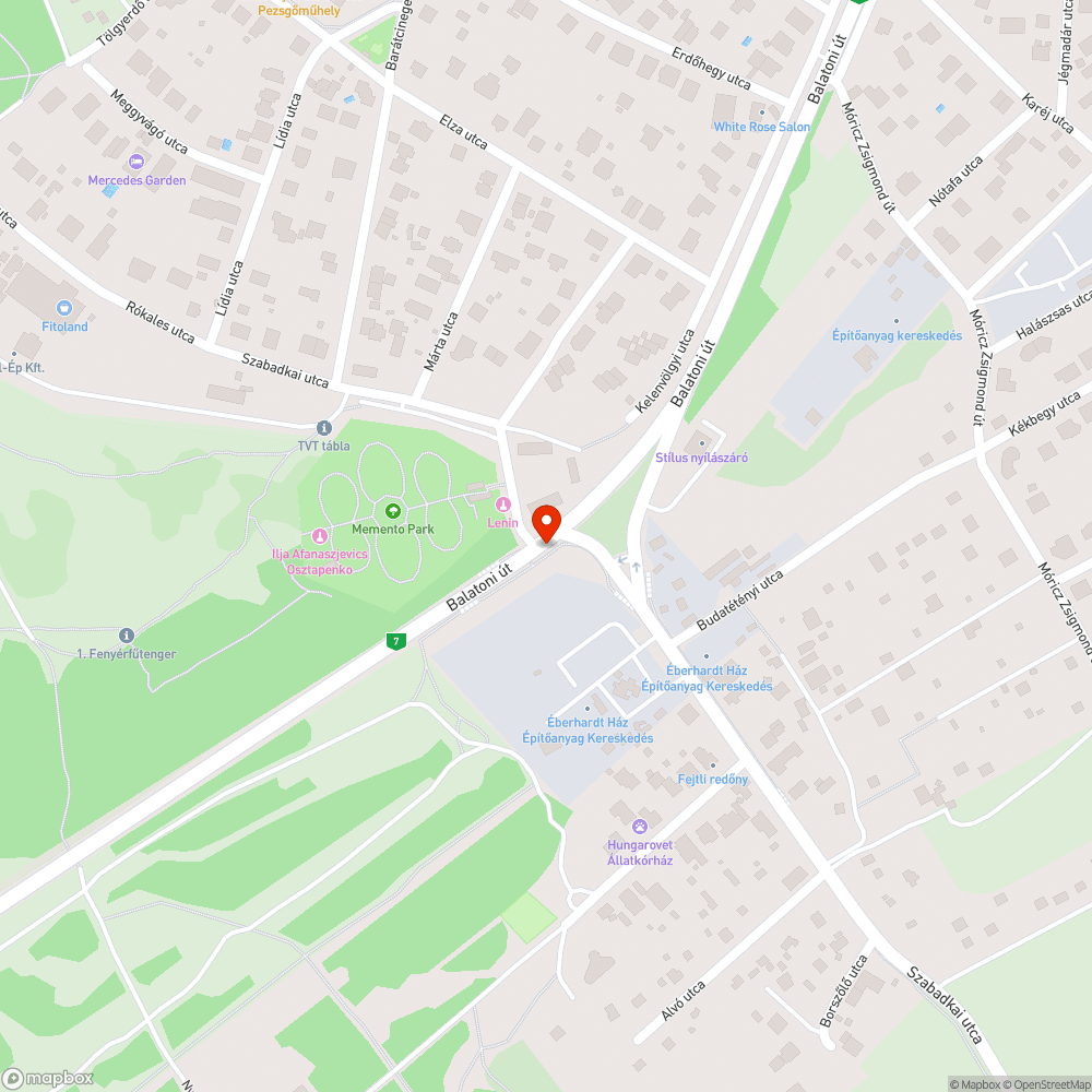 Veszélyes gyalogátkelő bejelentés helye