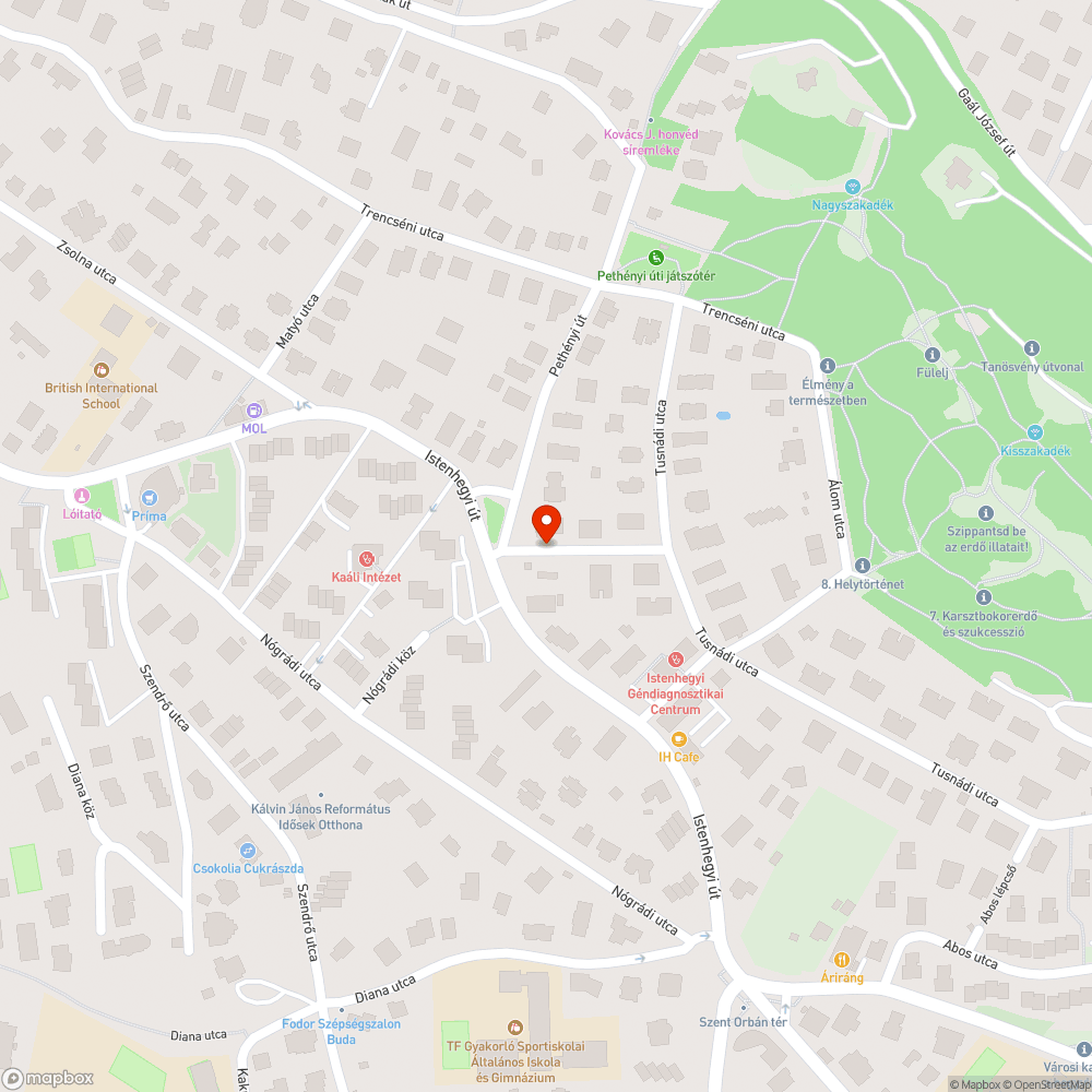 Elhagyott autó bejelentés helye