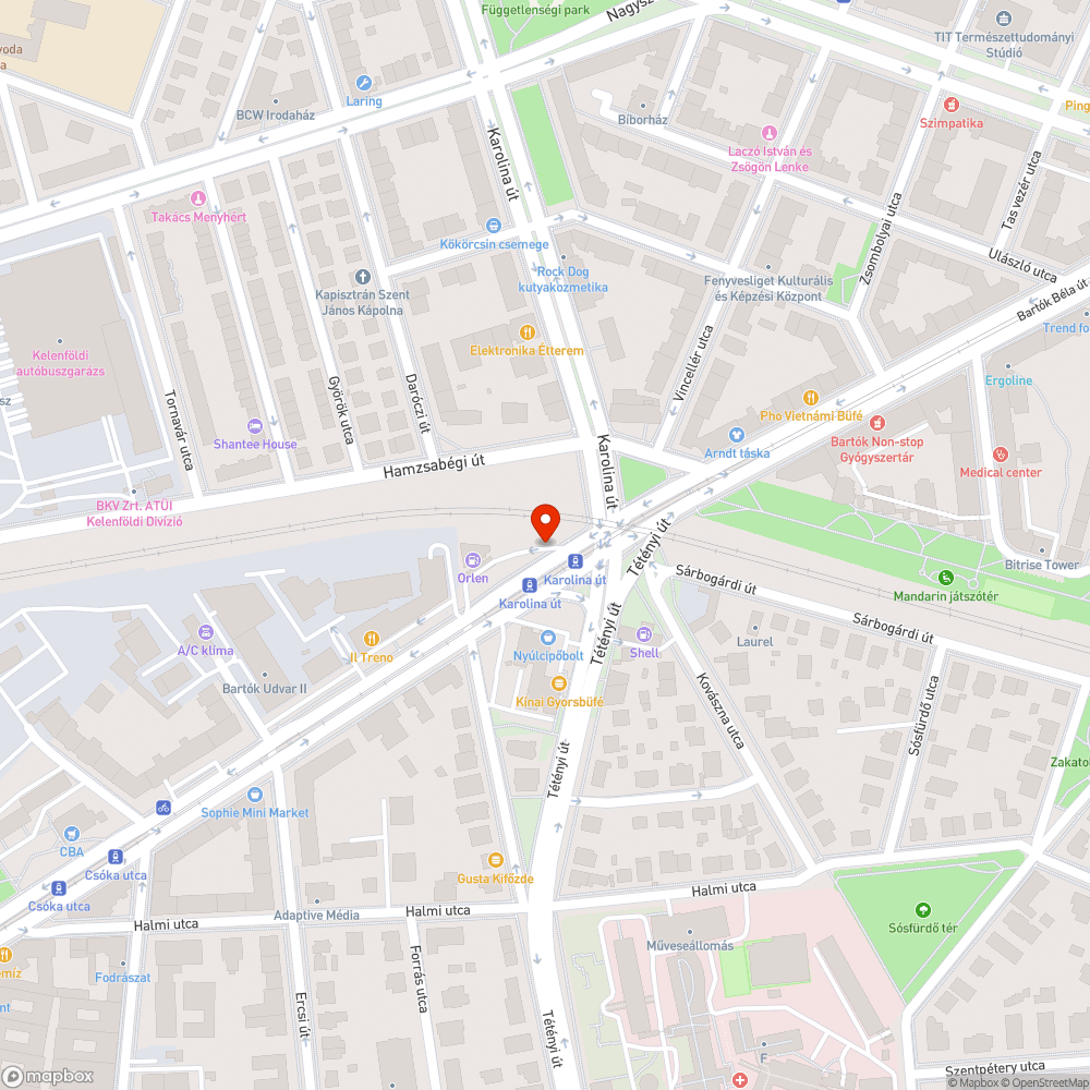 Elpusztult süni a Bartók Béla úton bejelentés helye