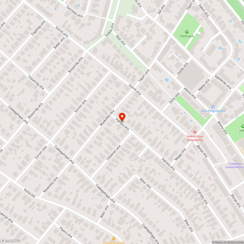 Megsüllyedt aszfalt a Páfrány utcában bejelentés helye