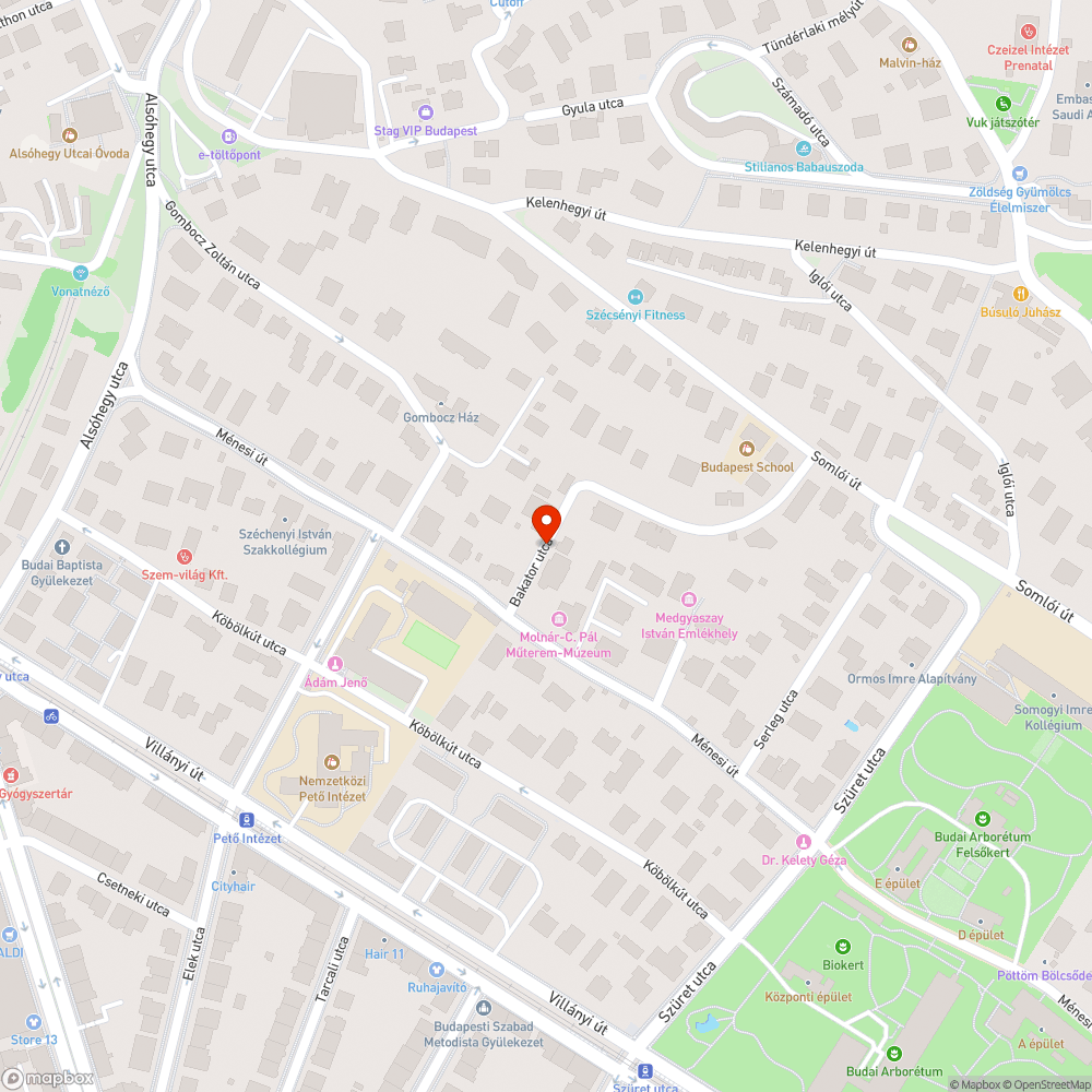 Parkolás miatt ellehetetlenített gyalogos közlekedés bejelentés helye