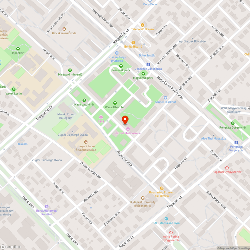 Leszakadt faág az Angol utcában bejelentés helye