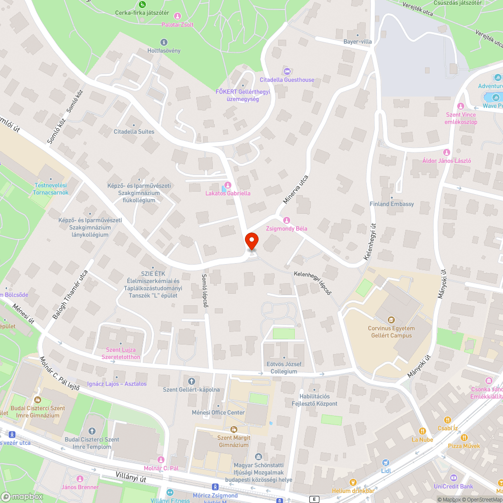 Kutyás szemetes bejelentés helye