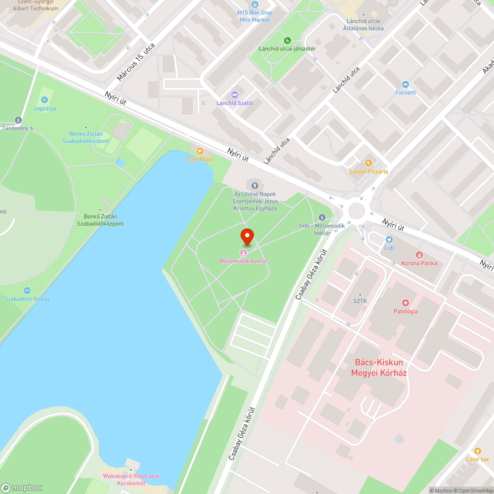 Elhanyagolt Milliomodik Hektár Emlékerdő bejelentés helye