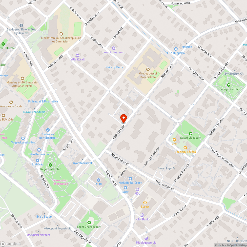 Parlagfű és egyéb gaz végig a Rodostó utcában bejelentés helye