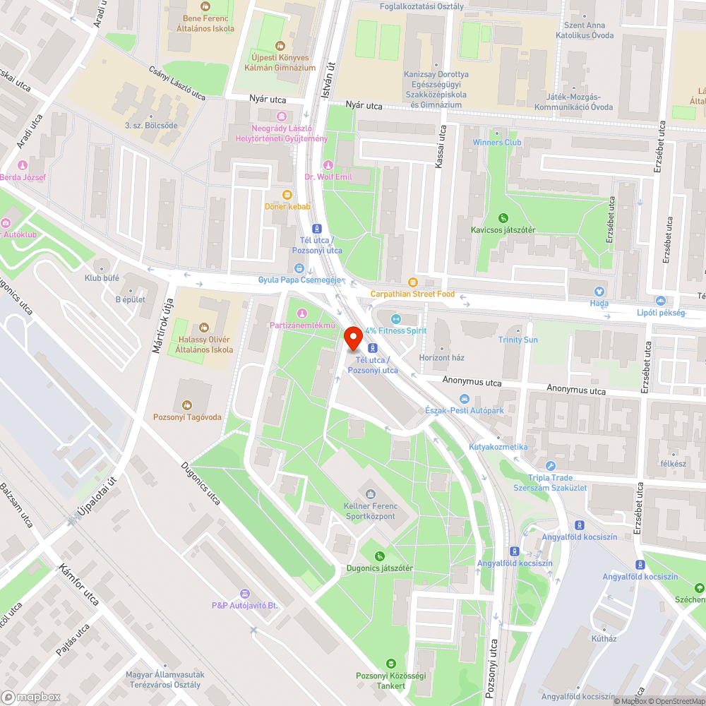 Balesetveszélyes faág a játszótér felett bejelentés helye